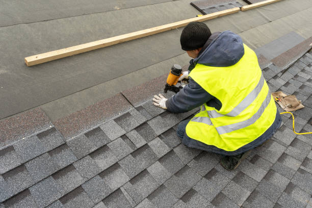 Roof Gutter Cleaning in Fern Prairie, WA