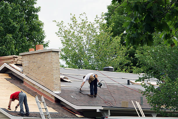 Roof Gutter Cleaning in Fern Prairie, WA