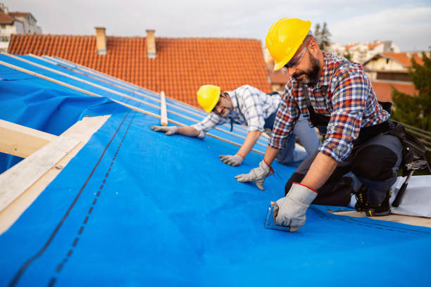 Best Roof Leak Repair  in Fern Prairie, WA